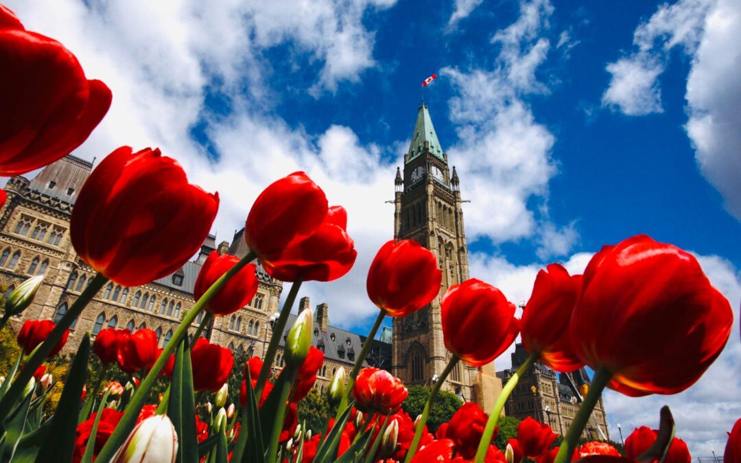 CELEBRATING 80 YEARS OF GRATITUDE π·π¨π¦π³π±