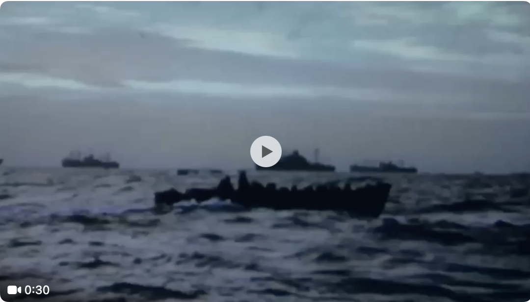 80 Years of Freedom: Reflecting on D-Day and the Liberation of Western Europe (1944 – 2024)