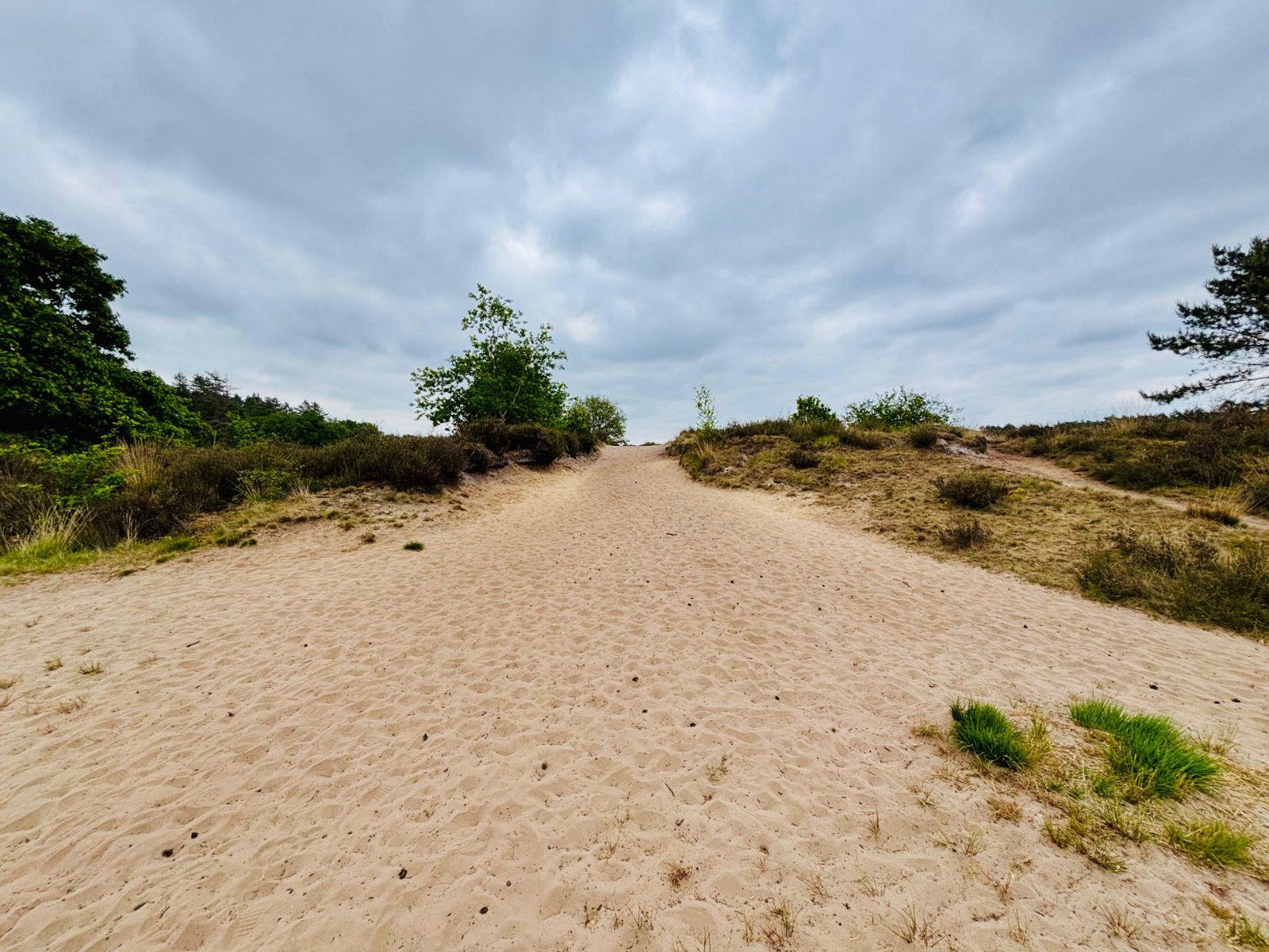 LThells_highway02