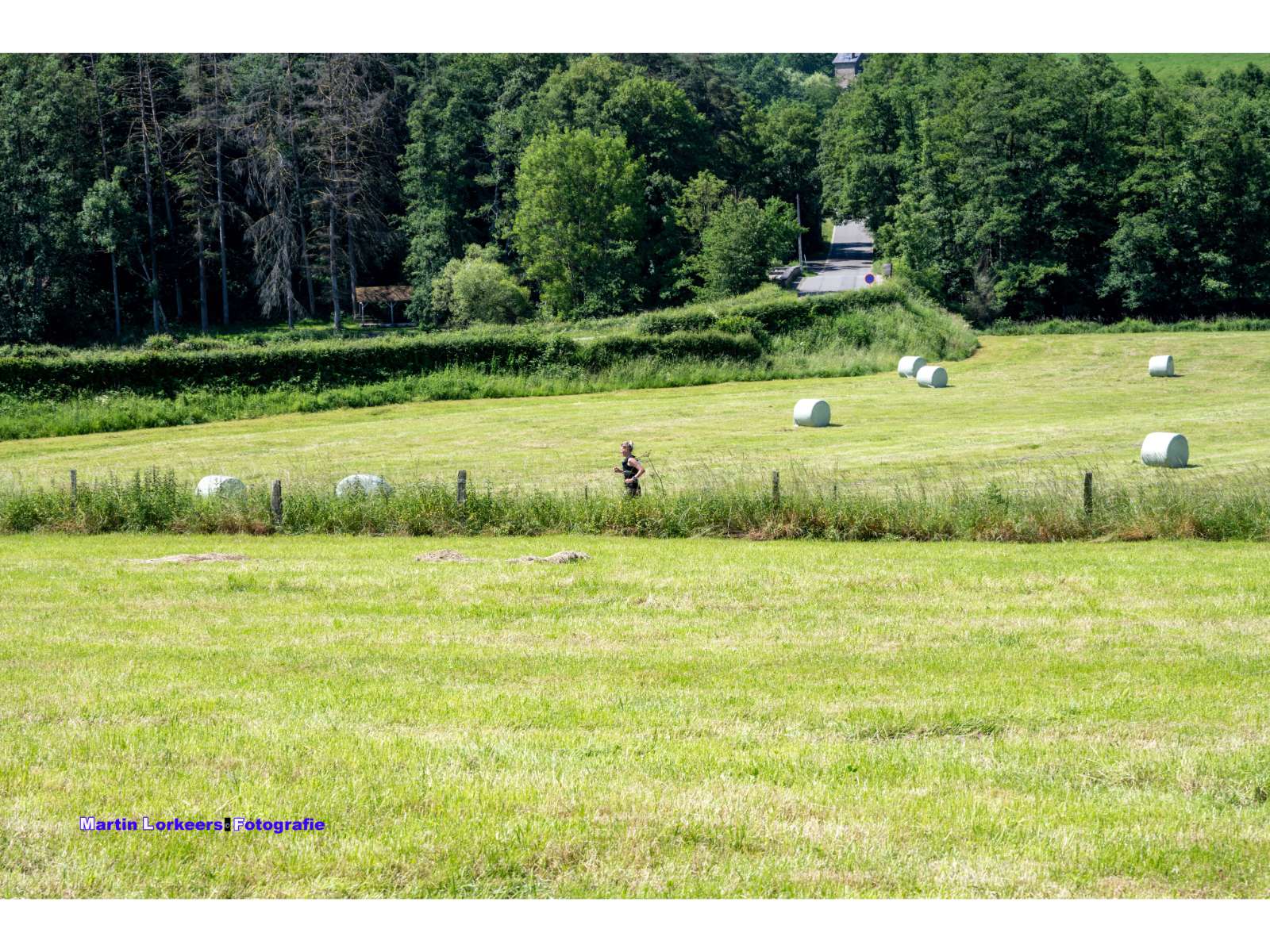 Liberation trail 2026-06-19-11