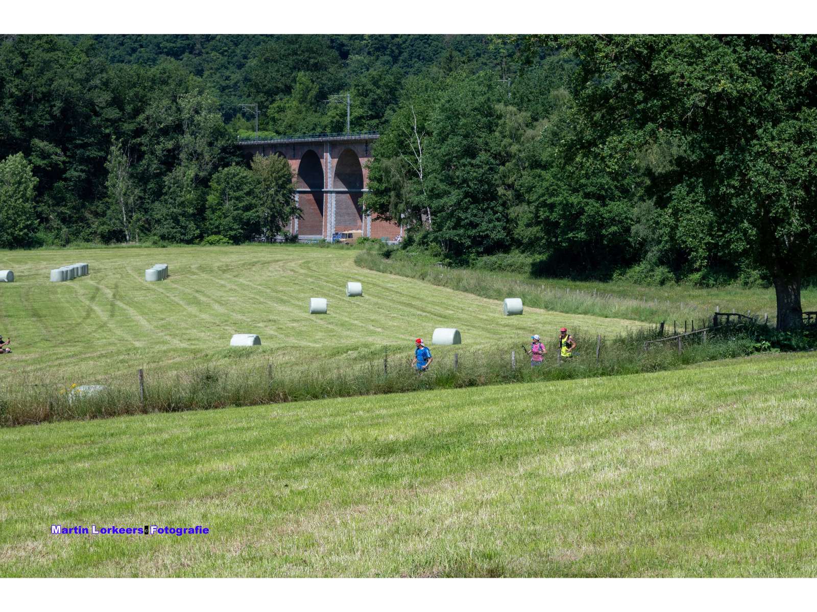 Liberation trail 2026-06-19-12