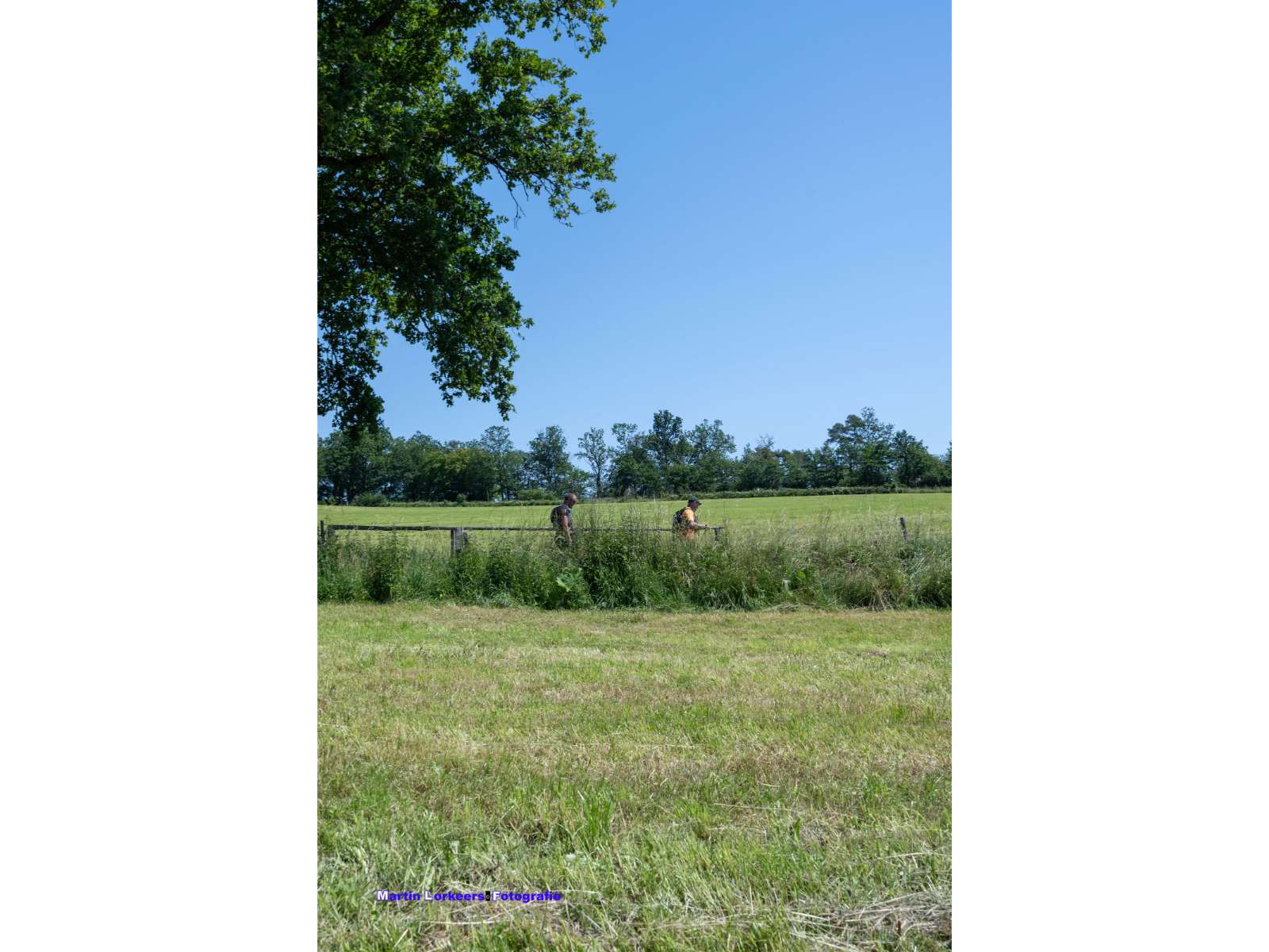 Liberation trail 2026-06-19-14