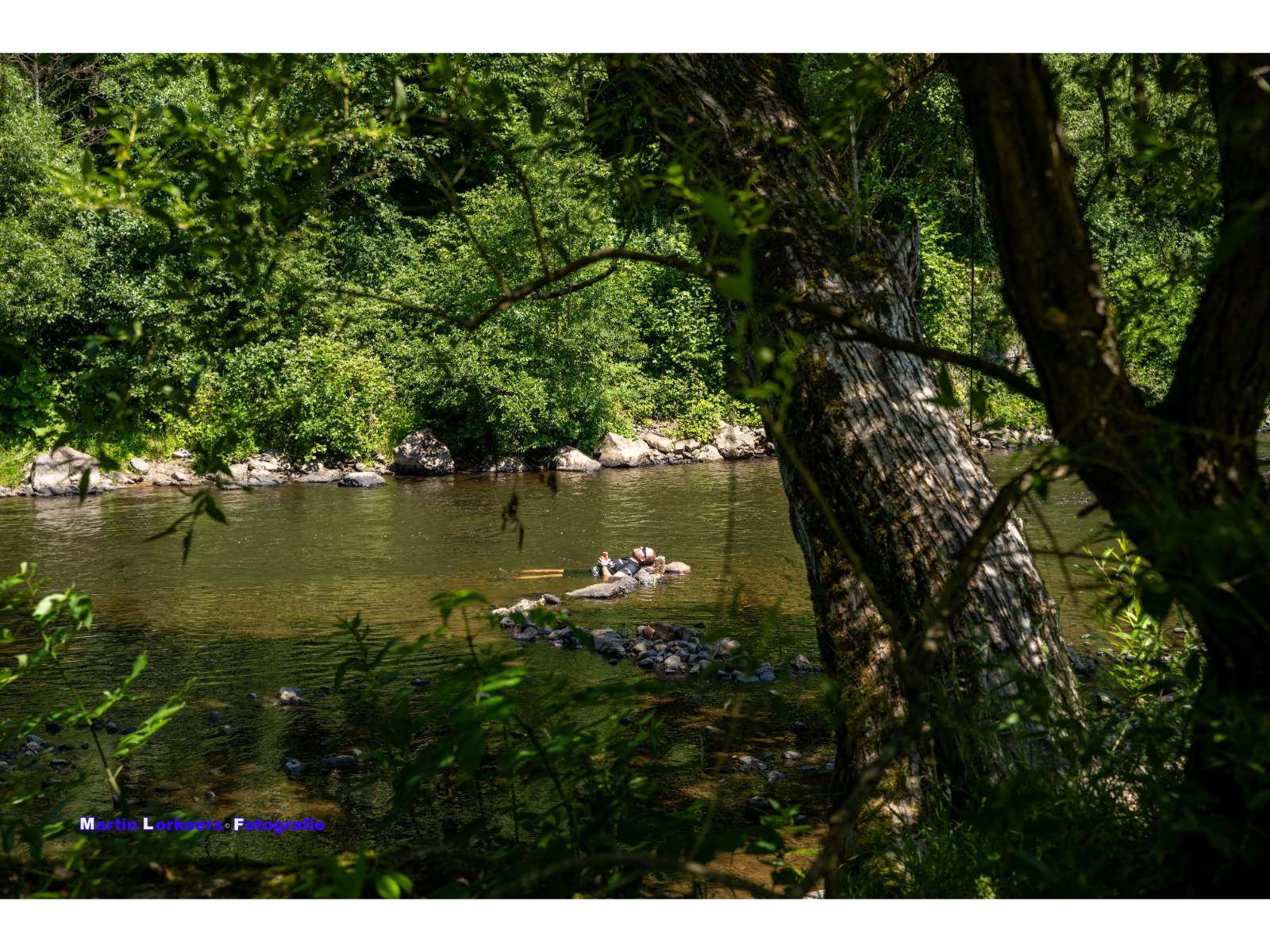 Liberation trail 2026-06-19-16